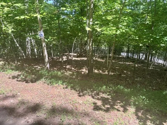 17 E Dogwood Hayesville, NC 28904