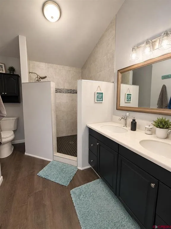 21260 Ivanhoe Road Austin, CO 81410