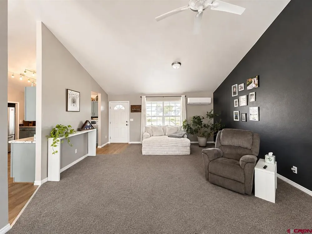 21260 Ivanhoe Road Austin, CO 81410