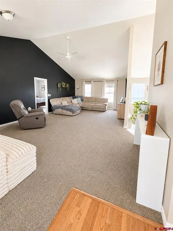 21260 Ivanhoe Road Austin, CO 81410