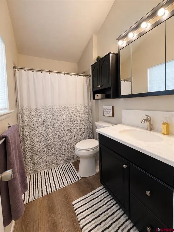 21260 Ivanhoe Road Austin, CO 81410