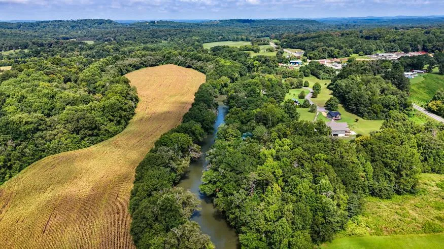 160 Tree Frog Lane Benton, TN 37307