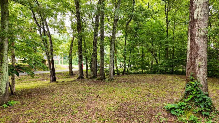 160 Tree Frog Lane Benton, TN 37307