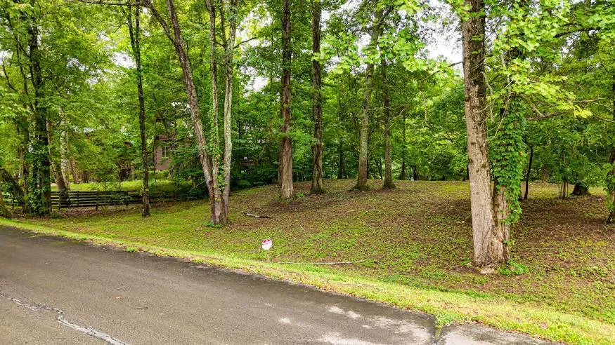 160 Tree Frog Lane Benton, TN 37307