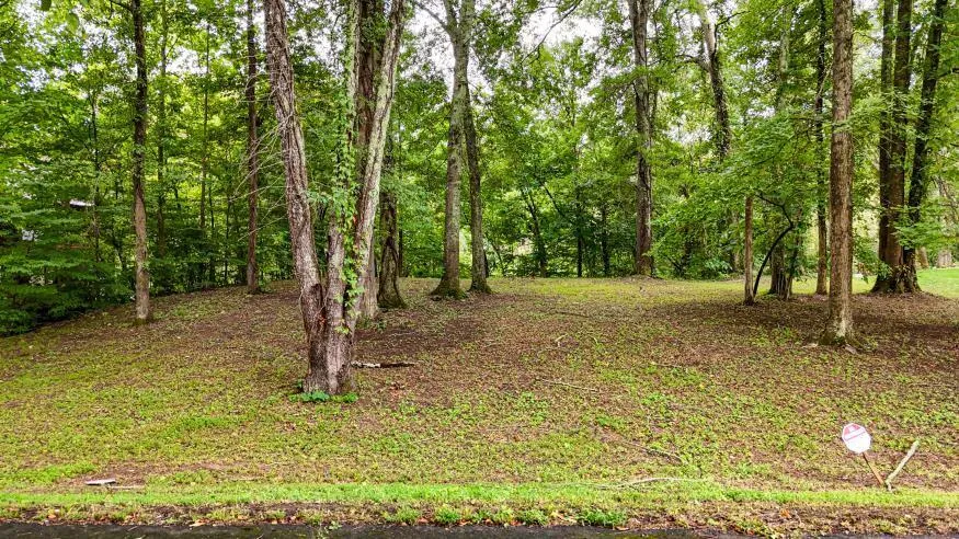 160 Tree Frog Lane Benton, TN 37307