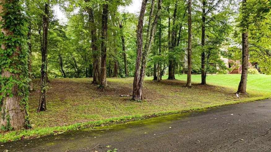 160 Tree Frog Lane Benton, TN 37307