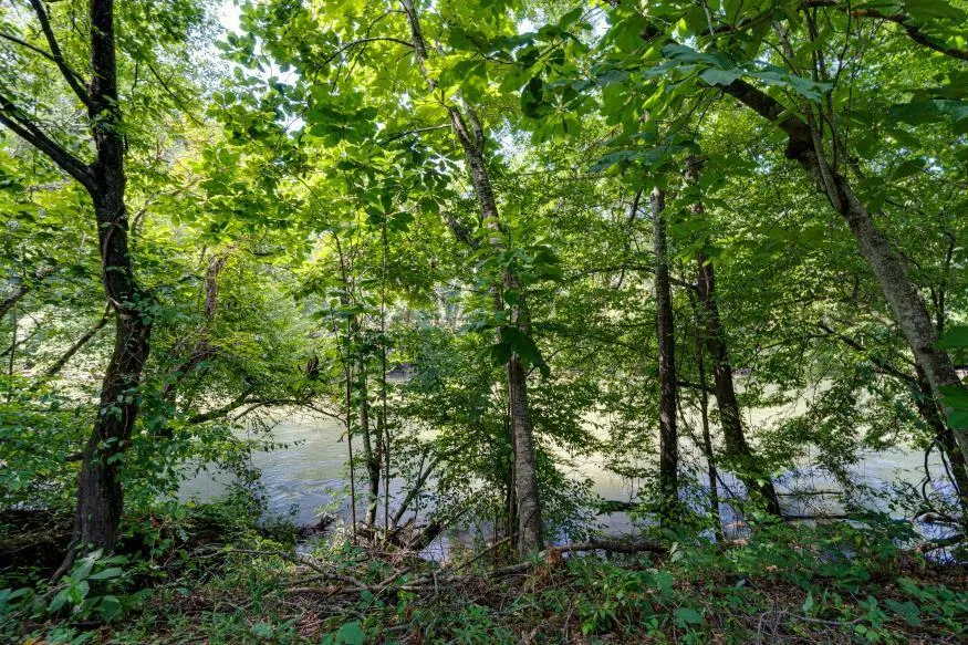160 Tree Frog Lane Benton, TN 37307