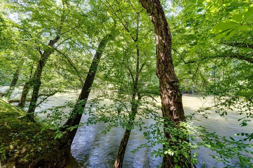 160 Tree Frog Lane Benton, TN 37307