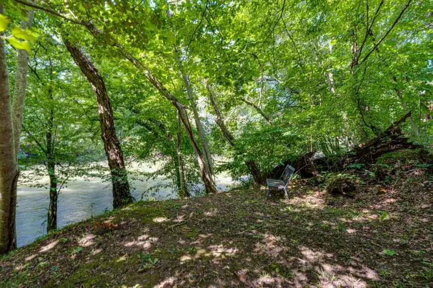 160 Tree Frog Lane Benton, TN 37307