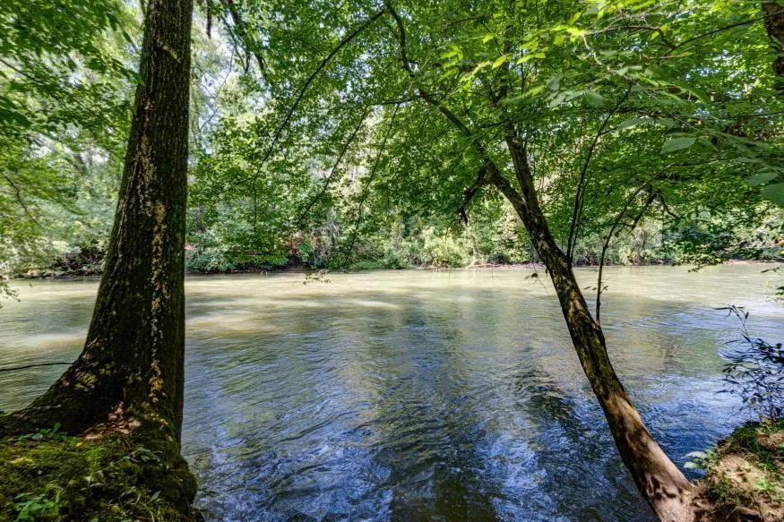 160 Tree Frog Lane Benton, TN 37307