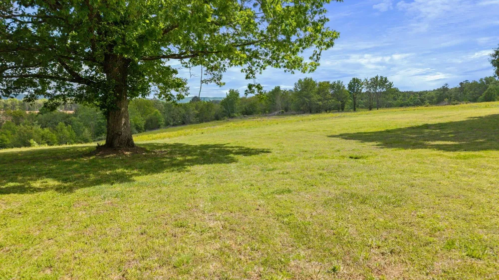 10006 Birchwood Pike Harrison, TN 37341
