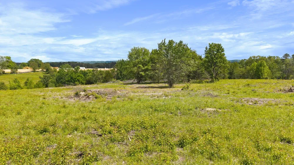 10006 Birchwood Pike Harrison, TN 37341
