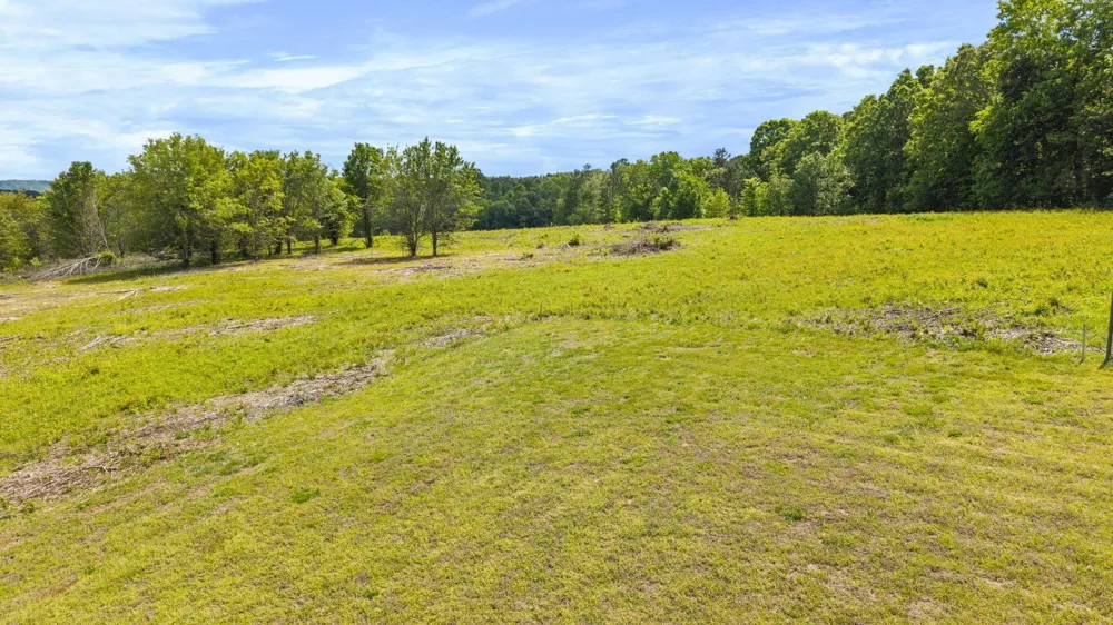 10006 Birchwood Pike Harrison, TN 37341