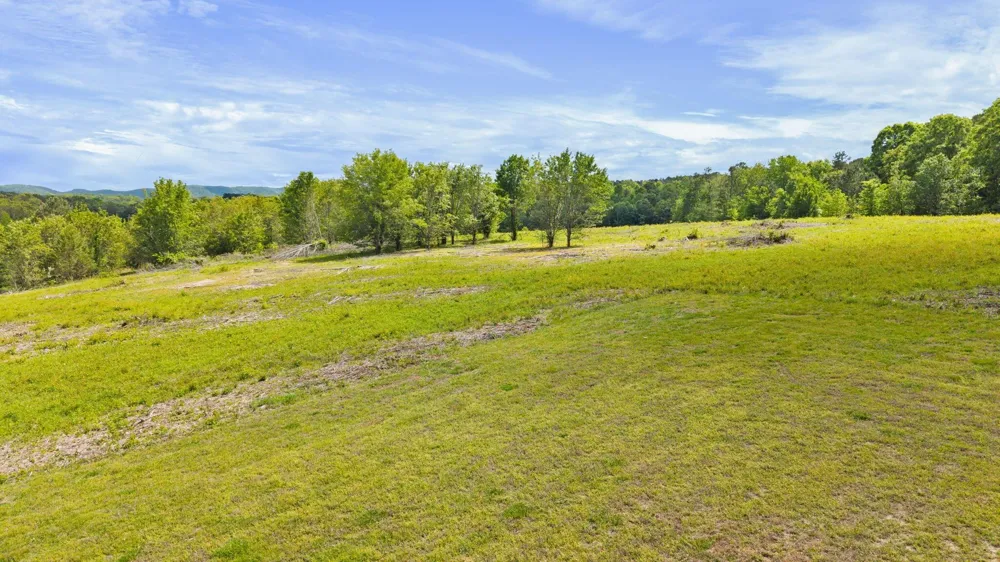 10006 Birchwood Pike Harrison, TN 37341