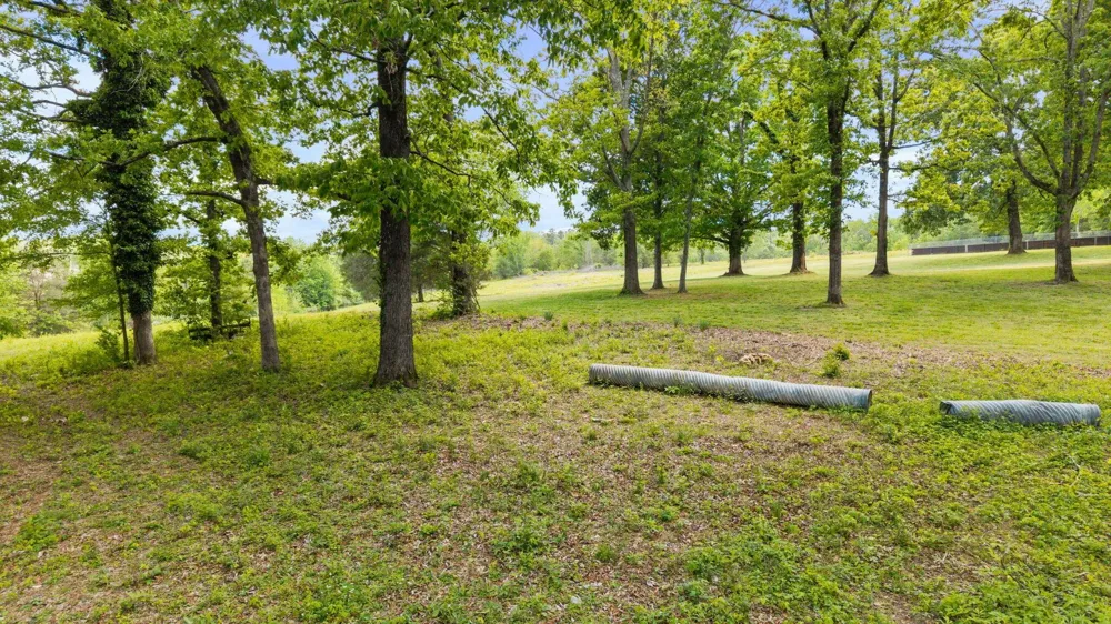10006 Birchwood Pike Harrison, TN 37341