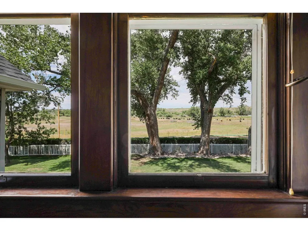 9916 County Road 48 1/2 Milliken, CO 80543