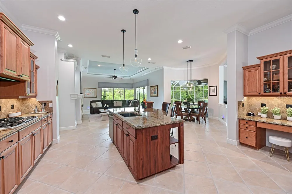 11515 SAVANNAH LAKES DRIVE Parrish, FL 34219