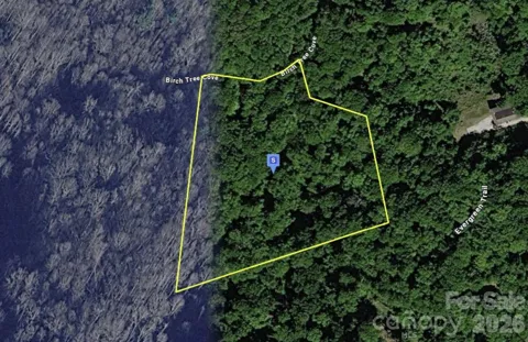 111 Birch Tree Cove
