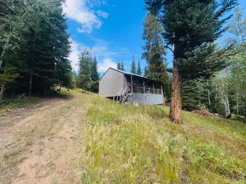 67 Alpine Lane
