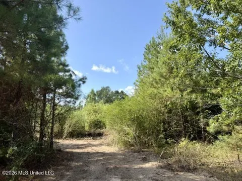 Robert Bateman Road
