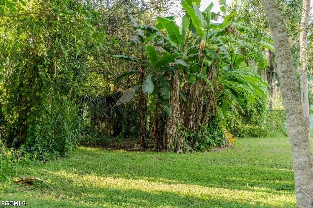 Washington Ave Labelle, FL 33935