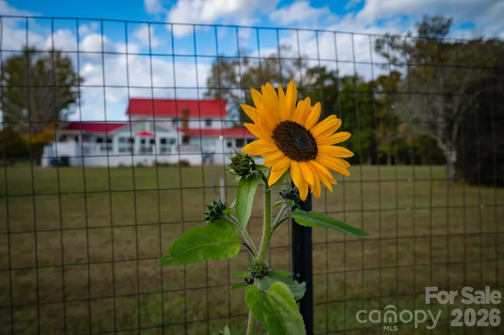 1260A Beaver Island Trail Road Walnut Cove, NC 27052