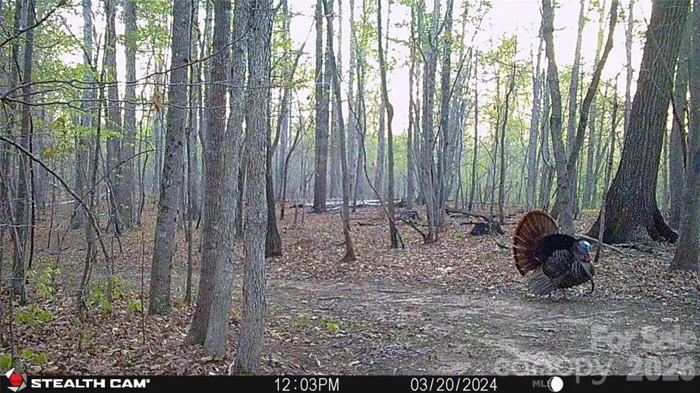 1260A Beaver Island Trail Road Walnut Cove, NC 27052