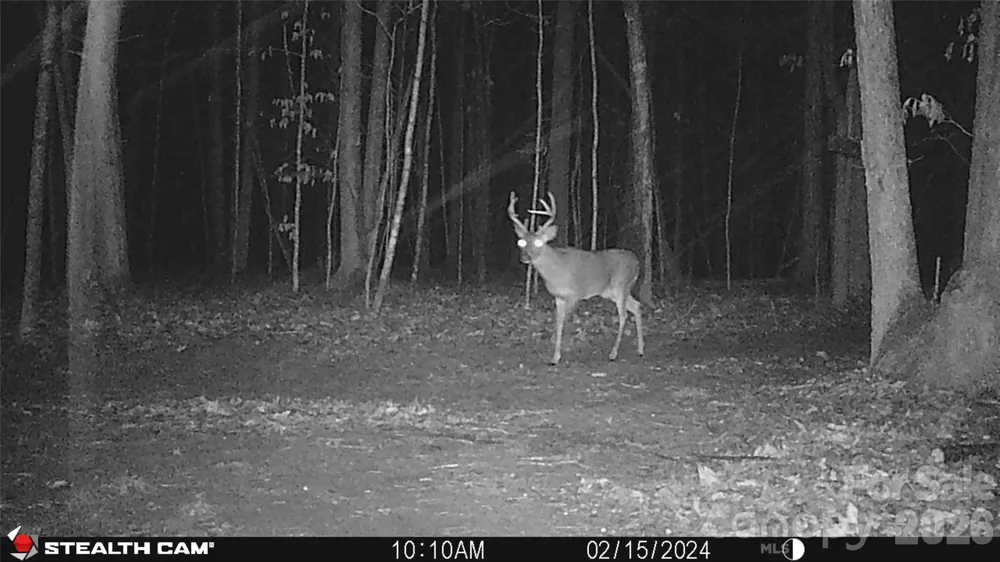 1260A Beaver Island Trail Road Walnut Cove, NC 27052
