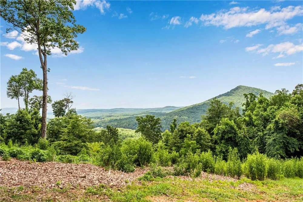 248 Duffer Drive Jasper, GA 30143