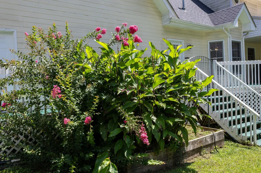 443 Tigues Creek Road Dayton, TN 37321