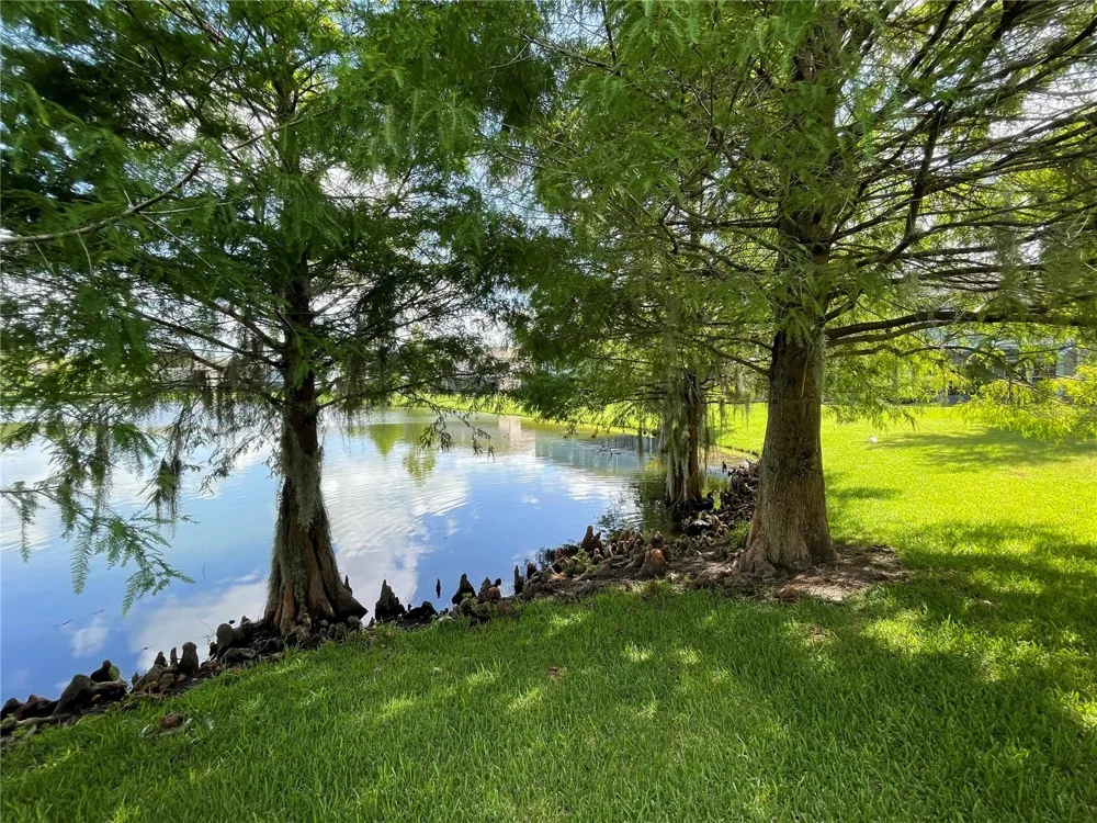 2432 CARAVELLE CIRCLE Kissimmee, FL 34746
