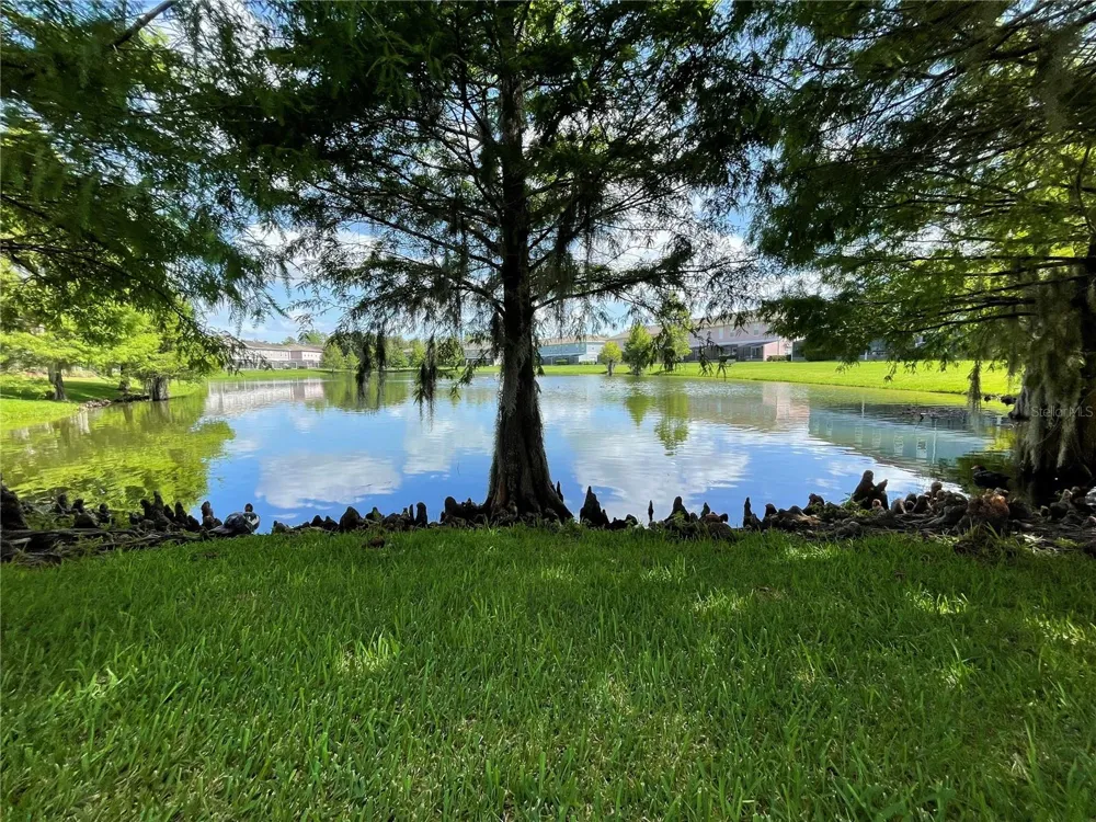 2432 CARAVELLE CIRCLE Kissimmee, FL 34746
