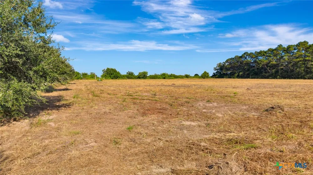 3217 State Highway 172 Ganado, TX 77962