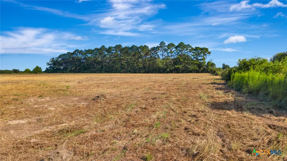 3217 State Highway 172 Ganado, TX 77962