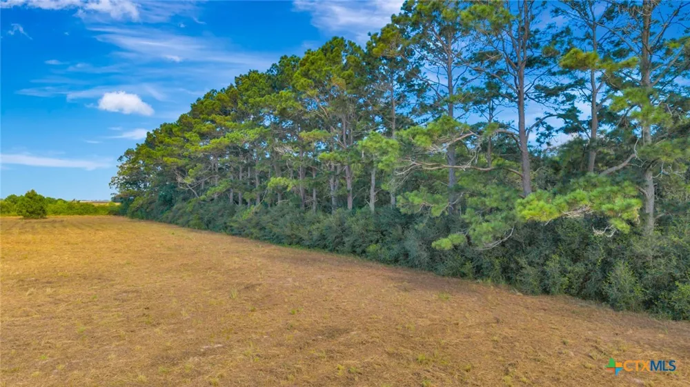 3217 State Highway 172 Ganado, TX 77962