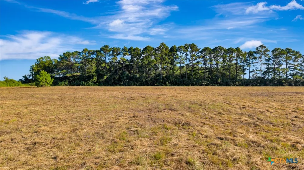 3217 State Highway 172 Ganado, TX 77962