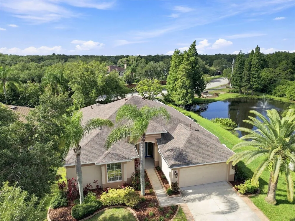 10113 CANNON DRIVE Riverview, FL 33578
