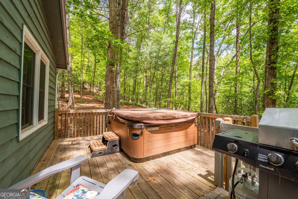 254 Star Lake LN Sautee Nacoochee, GA 30571