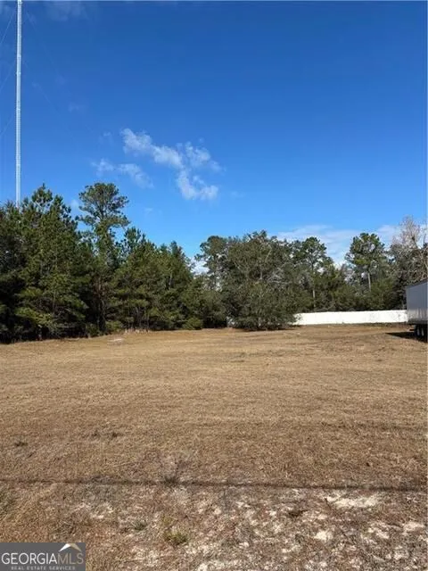 0 Shellman Bluff RD