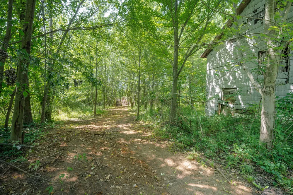 1658 66th Street Fennville, MI 49408