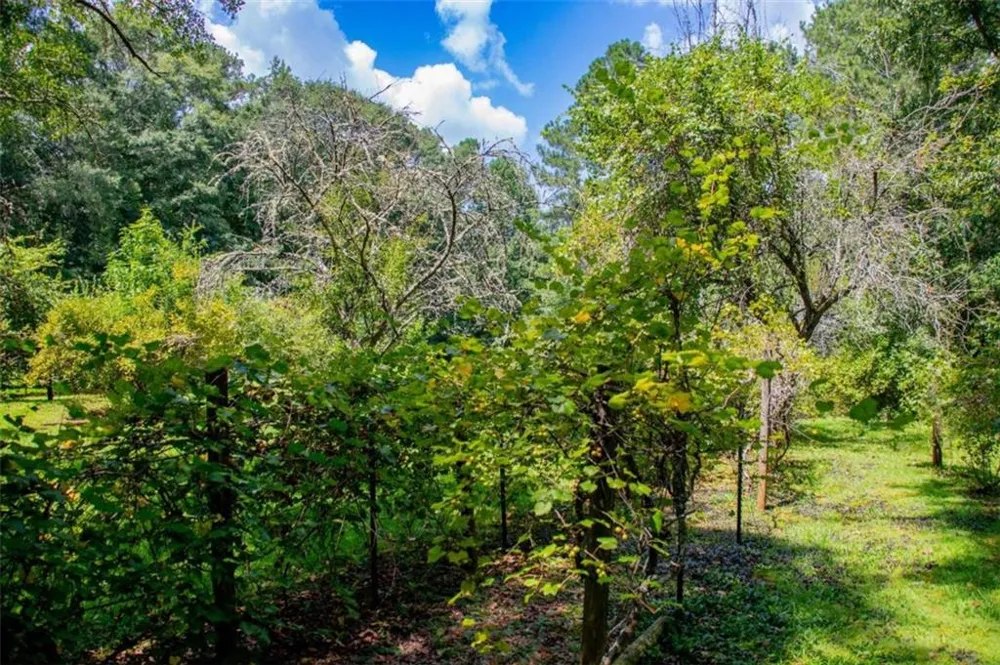 53 Garrett Lane Carrollton, GA 30117