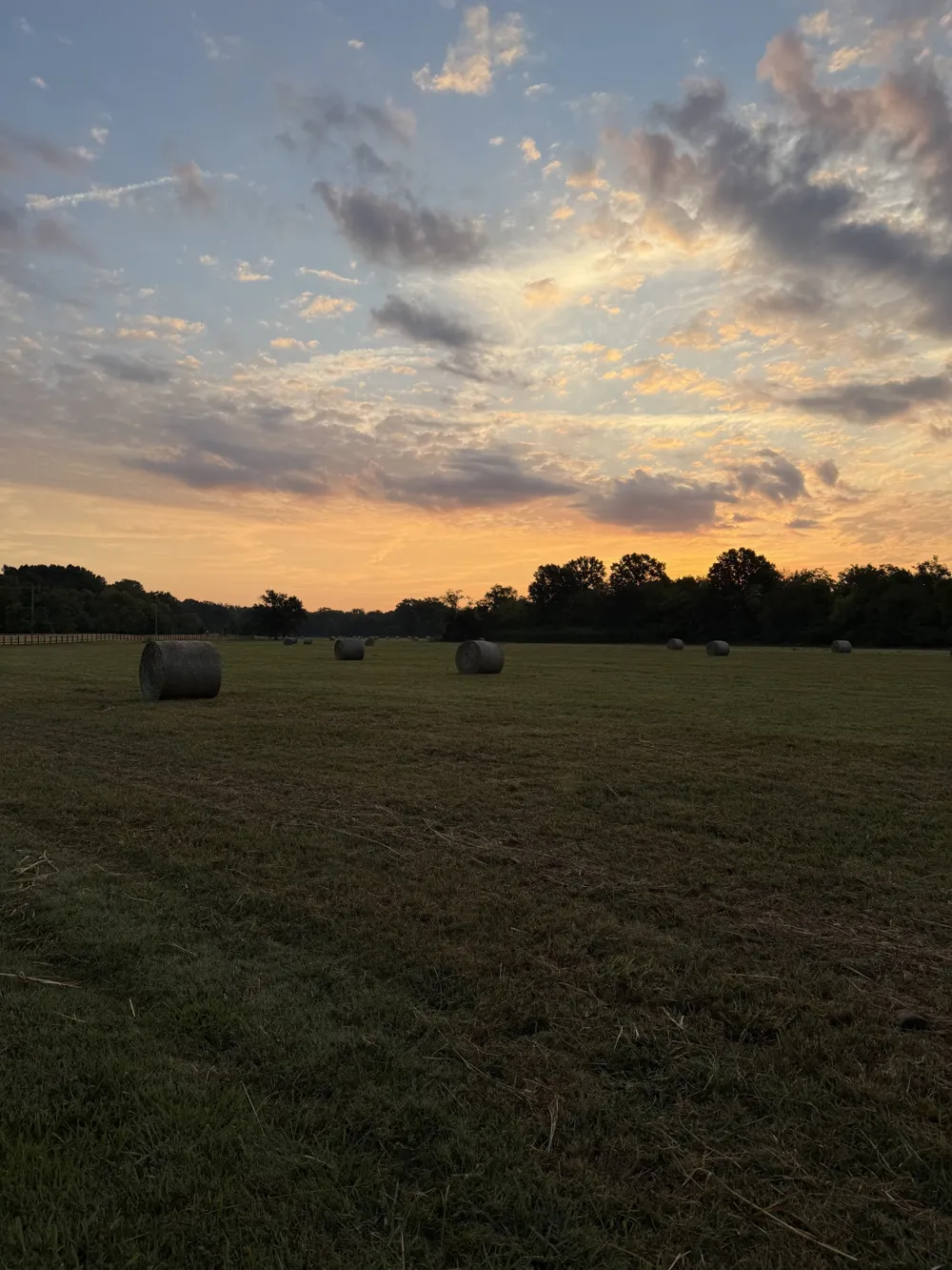 4784 Woodrow Pl Arrington, TN 37014