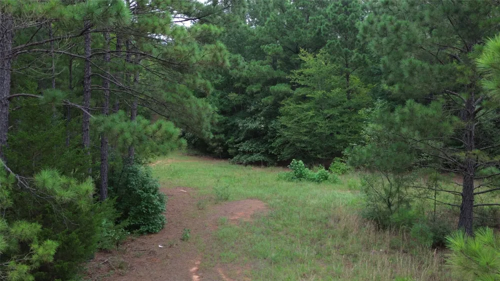 13814 Fm 1716 E Henderson, TX 75652