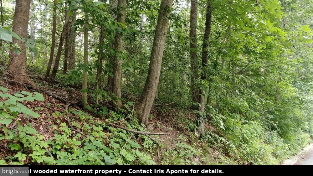 11757 STANBAUGH LANE Manassas, VA 20112