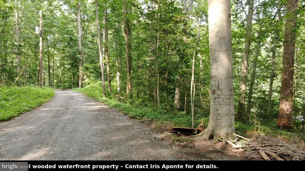 11757 STANBAUGH LANE Manassas, VA 20112