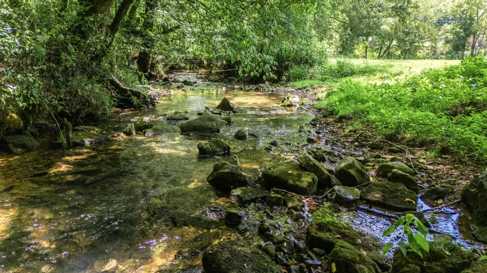 2203 Stones River Rd Woodbury, TN 37190
