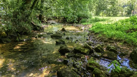 2203 Stones River Rd
