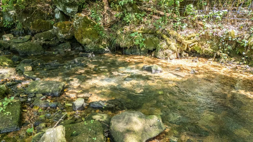 2203 Stones River Rd Woodbury, TN 37190