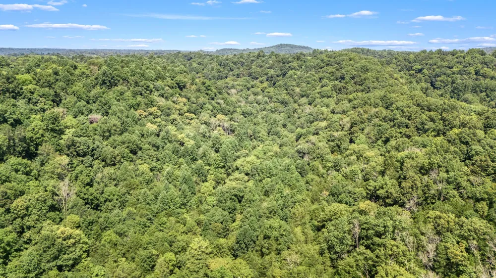 2203 Stones River Rd Woodbury, TN 37190