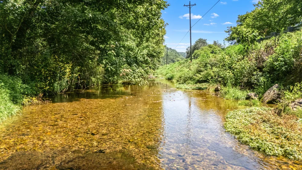2203 Stones River Rd Woodbury, TN 37190